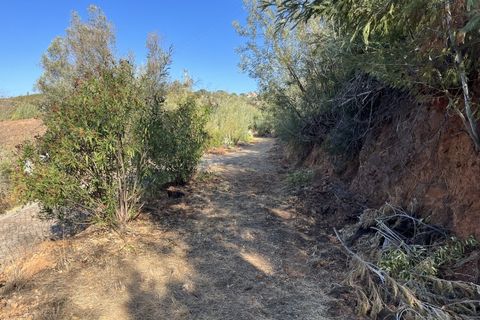 Helårsgrund i Monchique, Faro, Monchique - € 295.000 | Ref: 10299 - foto 49