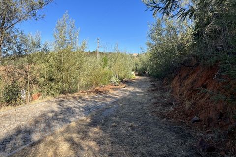 Helårsgrund i Monchique, Faro, Monchique - € 295.000 | Ref: 10299 - foto 50