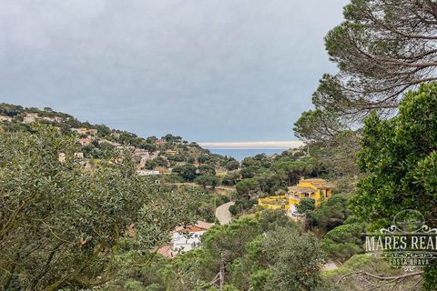 Terra a Lloret De Mar, Gerona, Lloret De Mar - € 105.450 | Ref: 438T13 - foto 4
