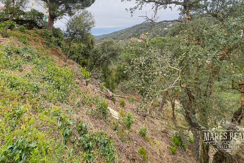 Terra a Lloret De Mar, Gerona, Lloret De Mar - € 105.450 | Ref: 438T13 - foto 8