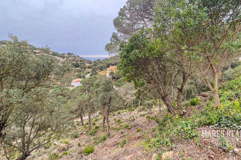 Terra a Lloret De Mar, Gerona, Lloret De Mar - € 105.450 | Ref: 438T13 - foto 9