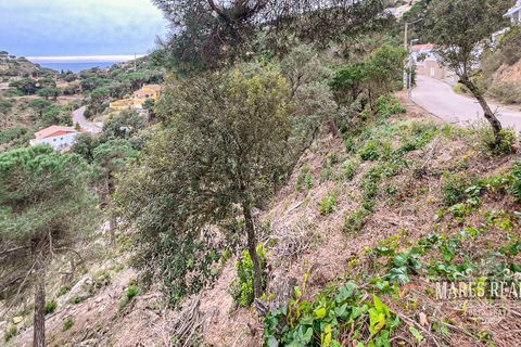 Terra a Lloret De Mar, Gerona, Lloret De Mar - € 105.450 | Ref: 438T13 - foto 11