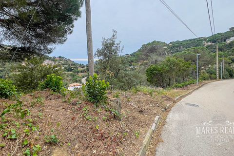 Terra a Lloret De Mar, Gerona, Lloret De Mar - € 105.450 | Ref: 438T13 - foto 15