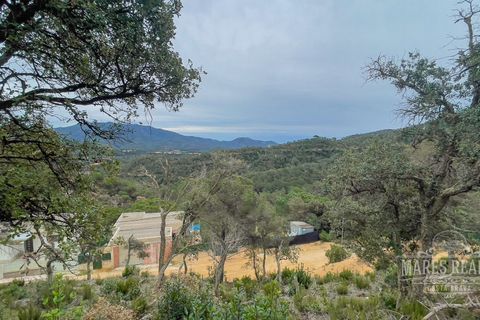 Terra a Lloret De Mar, Gerona, Lloret De Mar - € 85.000 | Ref: 439T31 - foto 2