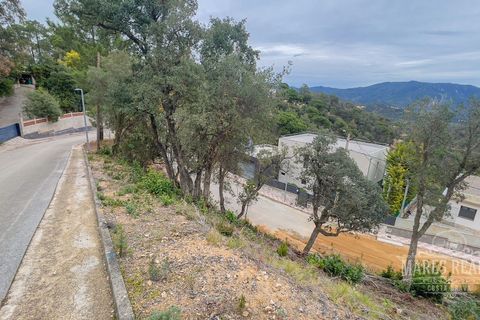 Terra a Lloret De Mar, Gerona, Lloret De Mar - € 85.000 | Ref: 439T31 - foto 6