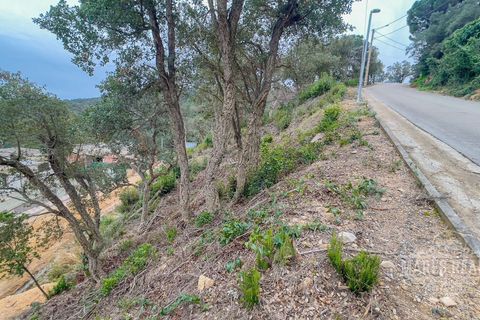 Terra a Lloret De Mar, Gerona, Lloret De Mar - € 85.000 | Ref: 439T31 - foto 8