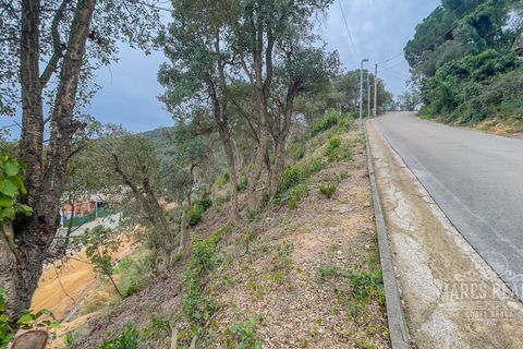 Terra a Lloret De Mar, Gerona, Lloret De Mar - € 85.000 | Ref: 439T31 - foto 9