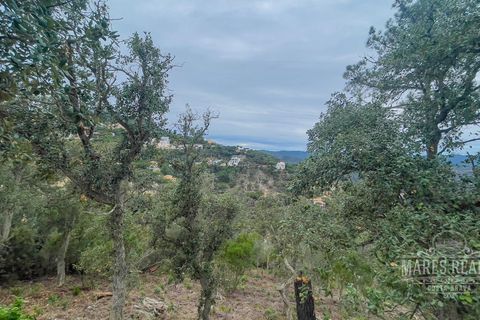 Helårsgrund i Lloret De Mar, Gerona, Lloret De Mar - € 88.350 | Ref: 451T38 - foto 3