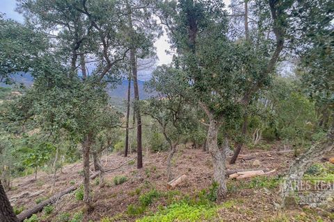 Helårsgrund i Lloret De Mar, Gerona, Lloret De Mar - € 88.350 | Ref: 451T38 - foto 7