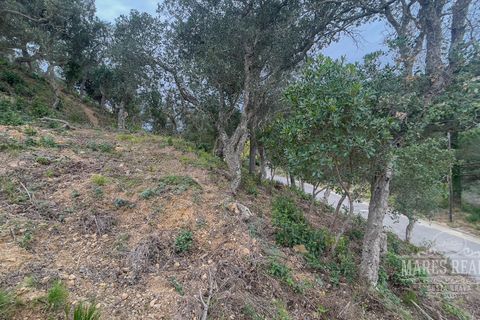 Helårsgrund i Lloret De Mar, Gerona, Lloret De Mar - € 106.400 | Ref: 452T45 - foto 6