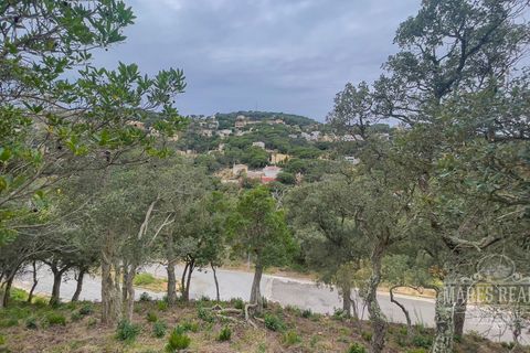 Helårsgrund i Lloret De Mar, Gerona, Lloret De Mar - € 106.400 | Ref: 452T45 - foto 11