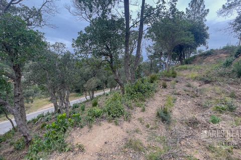 Helårsgrund i Lloret De Mar, Gerona, Lloret De Mar - € 106.400 | Ref: 452T45 - foto 13