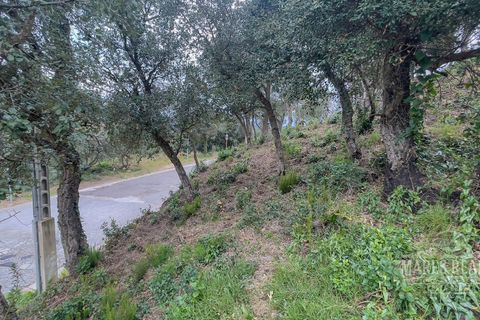 Helårsgrund i Lloret De Mar, Gerona, Lloret De Mar - € 106.400 | Ref: 452T45 - foto 15