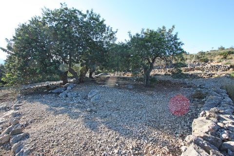 Helårsgrund i Benimeli, Alicante, Benimeli - € 120.000 | Ref: 001266 - foto 1