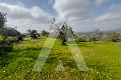 Helårsgrund i Paderne, Faro, Paderne - € 485.000 | Ref: 1110665/23AF - foto 4