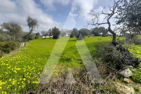 Helårsgrund i Paderne, Faro, Paderne - € 485.000 | Ref: 1110665/23AF - foto 8