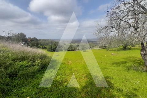Helårsgrund i Paderne, Faro, Paderne - € 485.000 | Ref: 1110665/23AF - foto 9