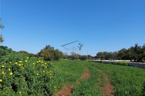 Helårsgrund i Scicli, Ragusa, Scicli - € 50.000 | Ref: 89 - foto 2