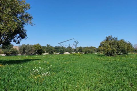Helårsgrund i Scicli, Ragusa, Scicli - € 50.000 | Ref: 89 - foto 3