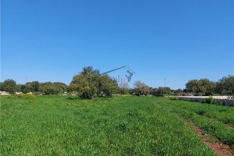 Helårsgrund i Scicli, Ragusa, Scicli - € 50.000 | Ref: 89 - foto 4