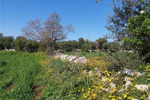 Helårsgrund i Scicli, Ragusa, Scicli - € 50.000 | Ref: 89 - foto 5