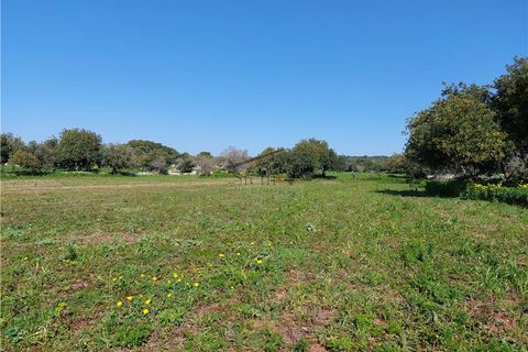 Helårsgrund i Scicli, Ragusa, Scicli - € 50.000 | Ref: 89 - foto 6