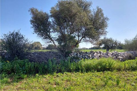 Helårsgrund i Scicli, Ragusa, Scicli - € 50.000 | Ref: 89 - foto 7