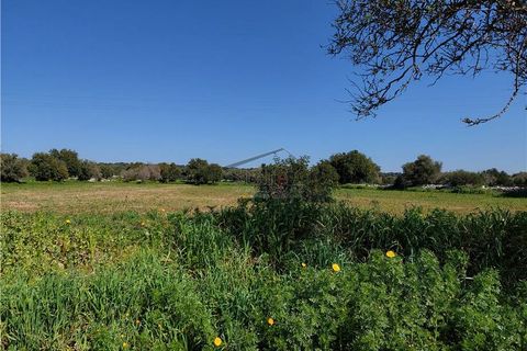 Helårsgrund i Scicli, Ragusa, Scicli - € 50.000 | Ref: 89 - foto 8