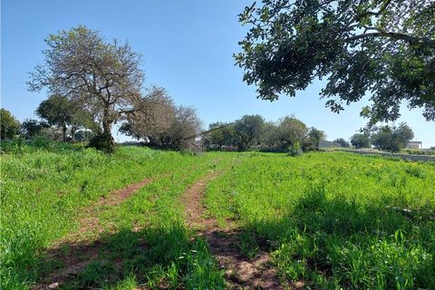 Helårsgrund i Scicli, Ragusa, Scicli - € 50.000 | Ref: 89 - foto 9