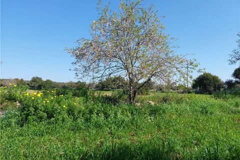Helårsgrund i Scicli, Ragusa, Scicli - € 50.000 | Ref: 89 - foto 10