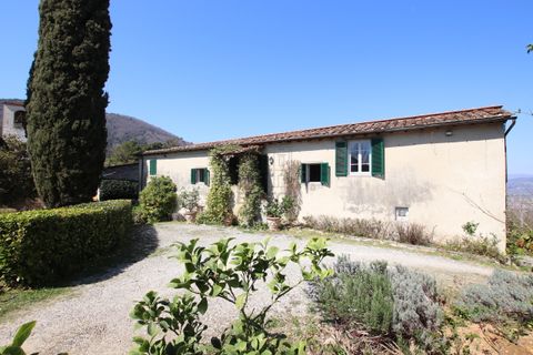Villa i Lucca, Lucca, Lucca - € 620.000 | Ref: IA03275 - foto 4
