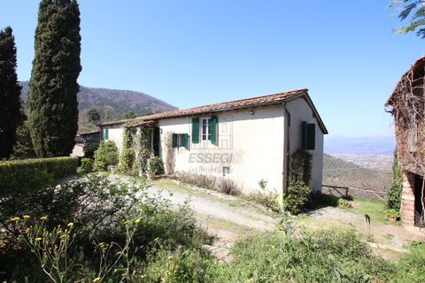 Villa i Lucca, Lucca, Lucca - € 620.000 | Ref: IA03275 - foto 9