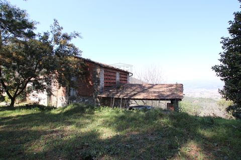 Villa i Lucca, Lucca, Lucca - € 620.000 | Ref: IA03275 - foto 37