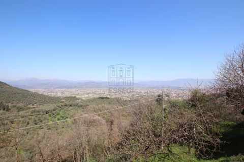 Villa i Lucca, Lucca, Lucca - € 620.000 | Ref: IA03275 - foto 40