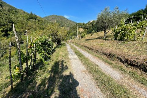 Villa i Pescaglia, Lucca, Pescaglia - € 250.000 | Ref: IA02075 - foto 12