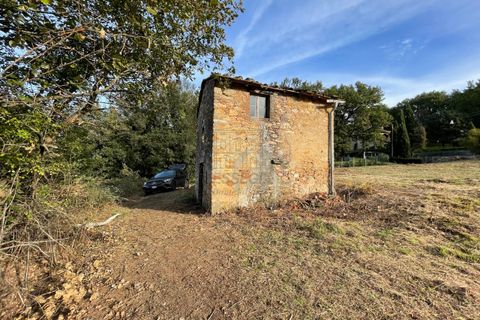 Erhvervsejendom i Lucca, Lucca, Lucca - € 35.000 | Ref: IA01939 - foto 2