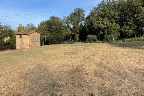 Erhvervsejendom i Lucca, Lucca, Lucca - € 35.000 | Ref: IA01939 - foto 3