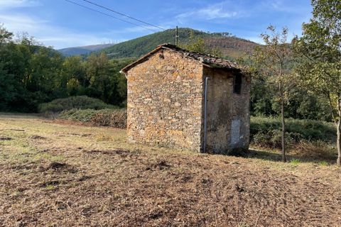 Erhvervsejendom i Lucca, Lucca, Lucca - € 35.000 | Ref: IA01939 - foto 4