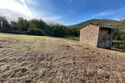 Erhvervsejendom i Lucca, Lucca, Lucca - € 35.000 | Ref: IA01939 - foto 5
