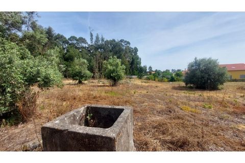 Villa i Viana do Castelo, Viana do Castelo, Viana do Castelo - € 230.000 | Ref: VCM12077(1) - foto 3