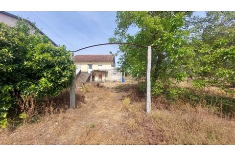 Villa i Viana do Castelo, Viana do Castelo, Viana do Castelo - € 230.000 | Ref: VCM12077(1) - foto 4