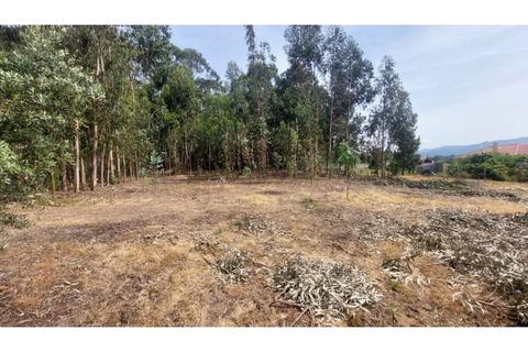 Villa i Viana do Castelo, Viana do Castelo, Viana do Castelo - € 230.000 | Ref: VCM12077(1) - foto 5