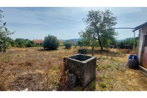 Villa i Viana do Castelo, Viana do Castelo, Viana do Castelo - € 230.000 | Ref: VCM12077(1) - foto 7