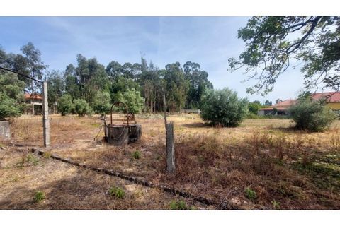 Villa i Viana do Castelo, Viana do Castelo, Viana do Castelo - € 230.000 | Ref: VCM12077(1) - foto 14