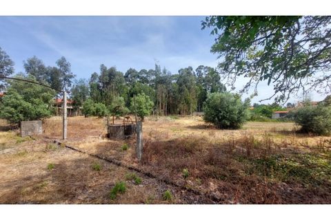 Villa i Viana do Castelo, Viana do Castelo, Viana do Castelo - € 230.000 | Ref: VCM12077(1) - foto 15