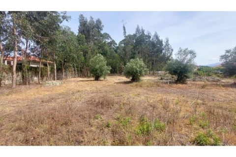 Villa i Viana do Castelo, Viana do Castelo, Viana do Castelo - € 230.000 | Ref: VCM12077(1) - foto 16