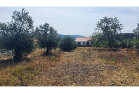 Villa i Viana do Castelo, Viana do Castelo, Viana do Castelo - € 230.000 | Ref: VCM12077(1) - foto 18