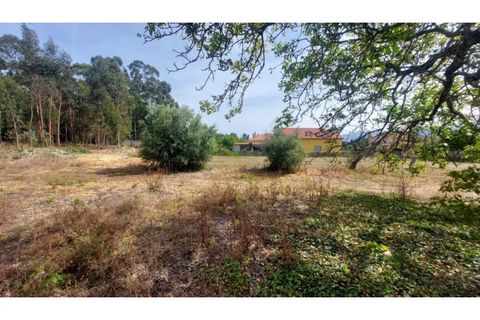 Villa i Viana do Castelo, Viana do Castelo, Viana do Castelo - € 230.000 | Ref: VCM12077(1) - foto 19