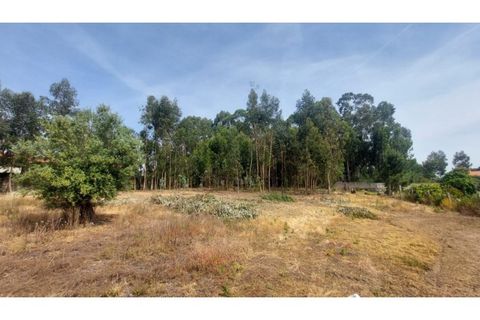 Villa i Viana do Castelo, Viana do Castelo, Viana do Castelo - € 230.000 | Ref: VCM12077(1) - foto 20