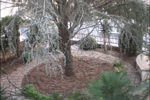 Villa i Modica, Ragusa, Modica - € 550.000 | Ref: 7696 - foto 12